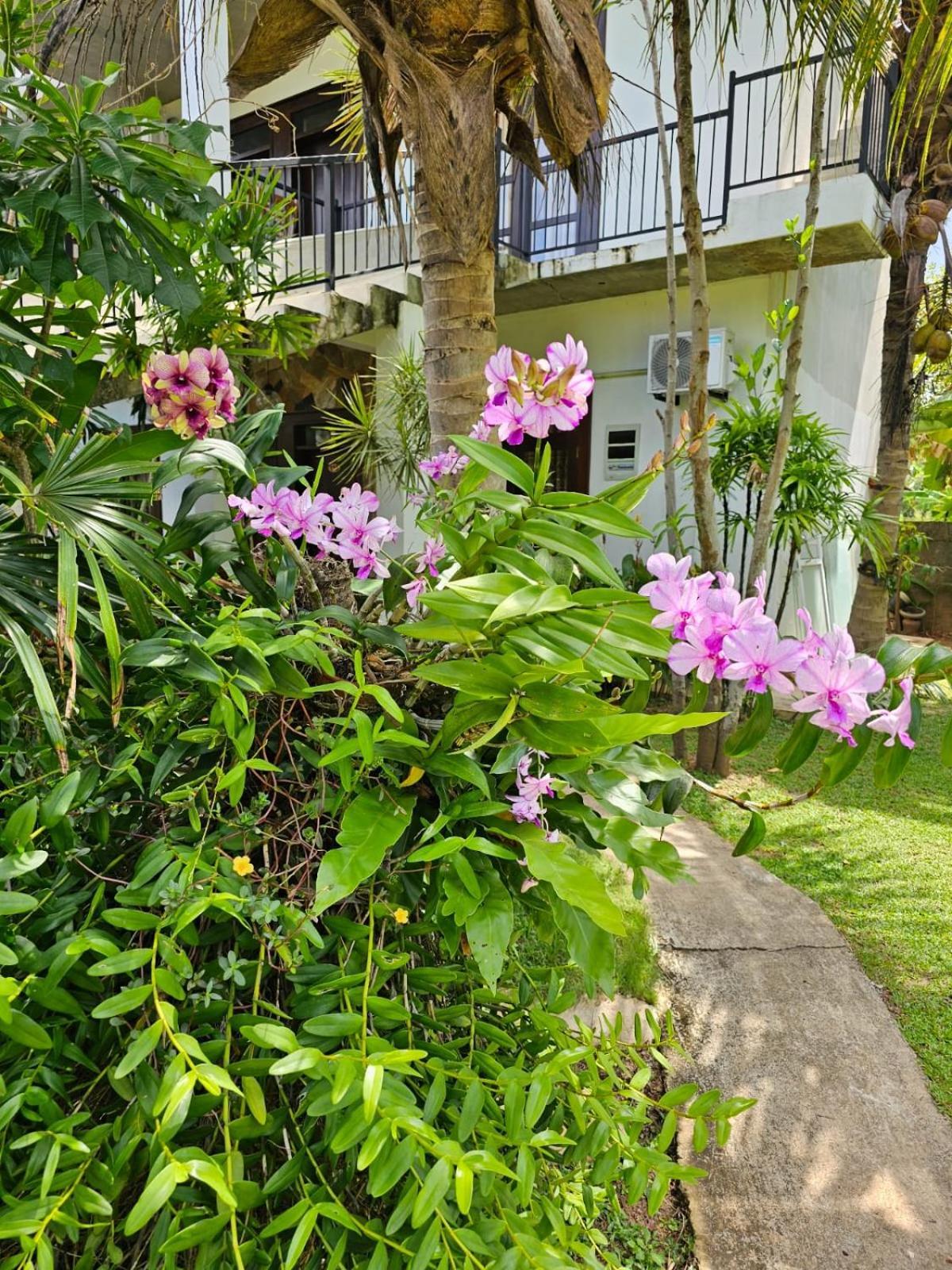 Optimum Residencies Bed and Breakfast Νεγκόμπο Εξωτερικό φωτογραφία