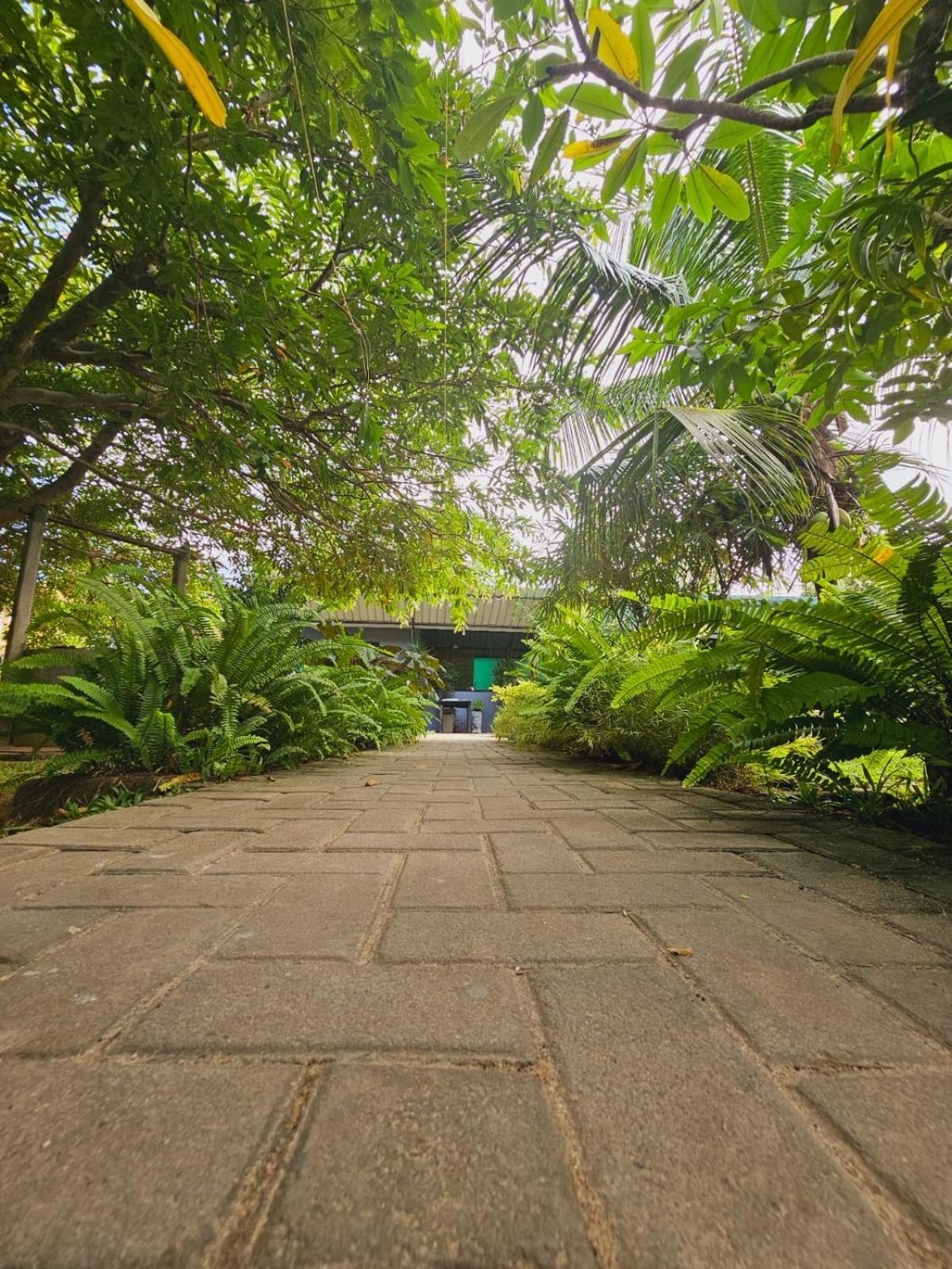 Optimum Residencies Bed and Breakfast Νεγκόμπο Εξωτερικό φωτογραφία